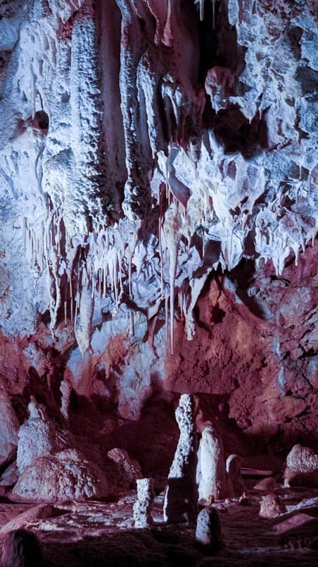 15 000 ossements sous le Vercors : un trésor paléontologique